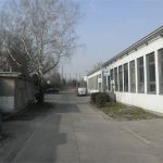 Zugang Halle (3)